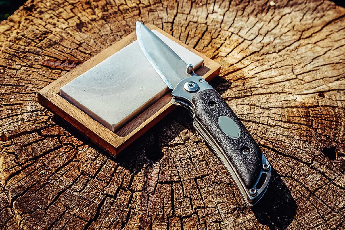 The Best Pocket Knife Sharpener of 2024 [Reviews & Guide]