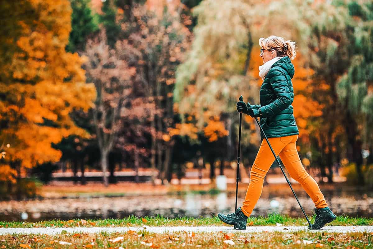 walking with apurpose bible study